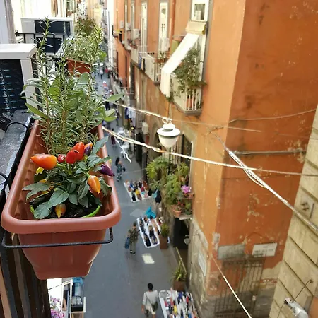 Sanbiagio, 25 Guest house 3*